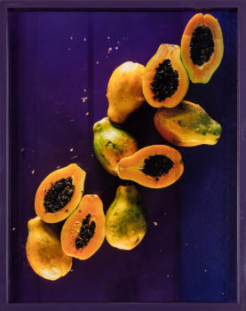 Elad Lassry, Papayas, 2009 Elad Lassry, Papayas, 2009