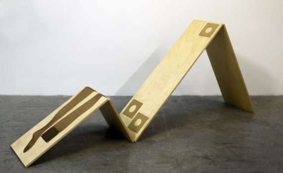 Tom Burr, Bush Laid Bare, 2009 Tom Burr, Bush Laid Bare, 2009