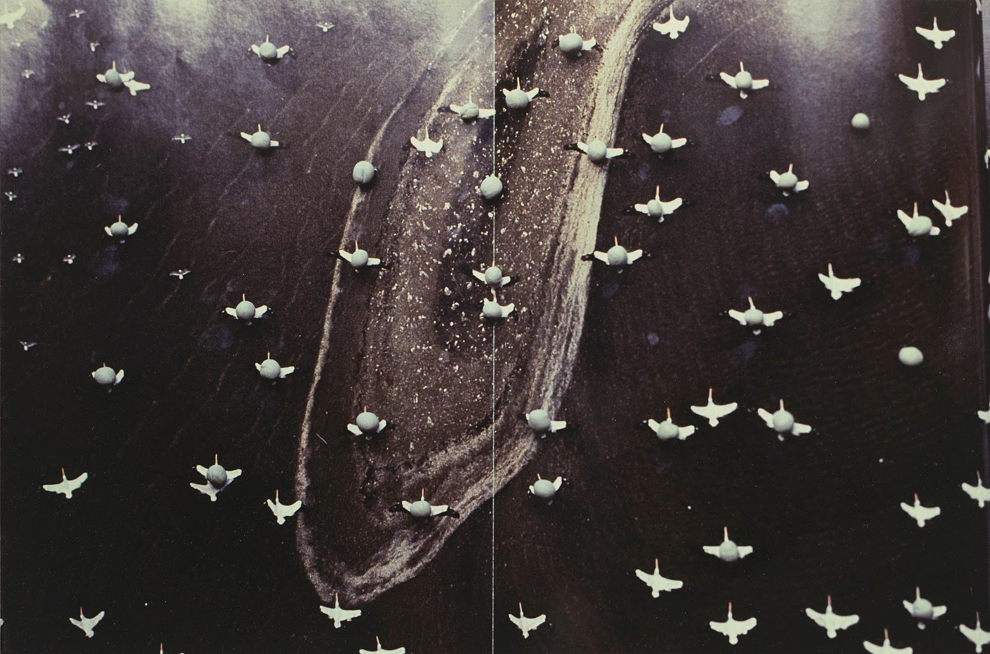 Gabriel Orozco, Migration, 1996 Gabriel Orozco, Migration, 1996