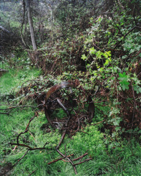 Melanie Schiff, Circle and Branch, 2009 Melanie Schiff, Circle and Branch, 2009