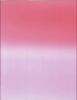 James Welling, IBHT, 2005 James Welling, IBHT, 2005