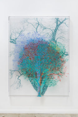 Charles Gaines, Numbers and Trees: Central Park Series IV: Tree #7, Maria, 2017. Collection of Kate and Adam Clammer, Menlo Park, California. Courtesy the artist, Susanne Vielmetter Los Angeles Projects, and Paula Cooper Gallery, New York.