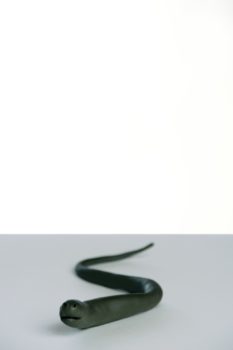 Bert Rodriguez, How God Makes Snakes, 2006 Bert Rodriguez, How God Makes Snakes, 2006