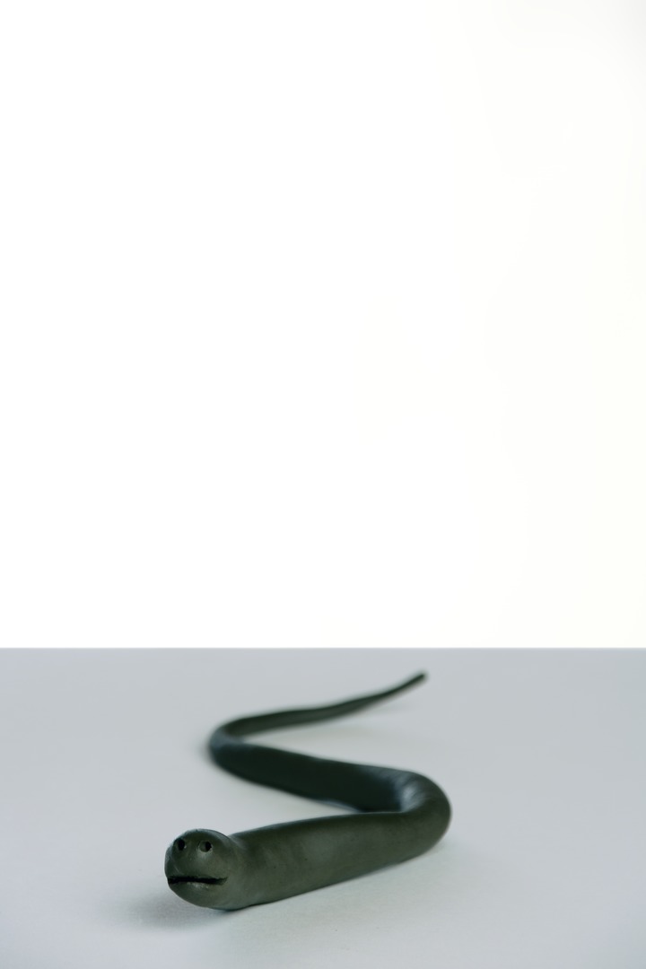 Bert Rodriguez, How God Makes Snakes, 2006 Bert Rodriguez, How God Makes Snakes, 2006