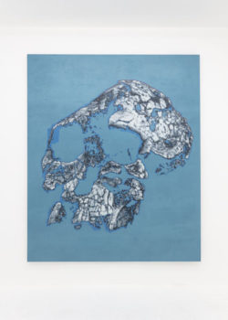 Blake Rayne, Azimuth Skull, 2018 – 2019 Blake Rayne, Azimuth Skull, 2018 – 2019