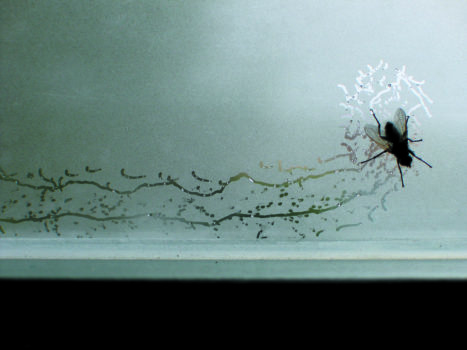 Tue Greenfort, Partitur einer Fliege : A Fly’s Composition, 2004 Tue Greenfort, Partitur einer Fliege : A Fly’s Composition, 2004