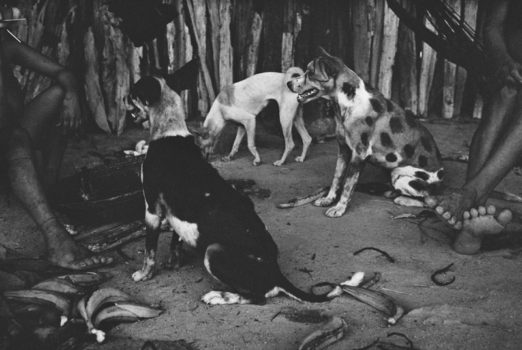 Lothar Baumgarten, In the Land of the Silent Dogs, 1984 Lothar Baumgarten, In the Land of the Silent Dogs, 1984