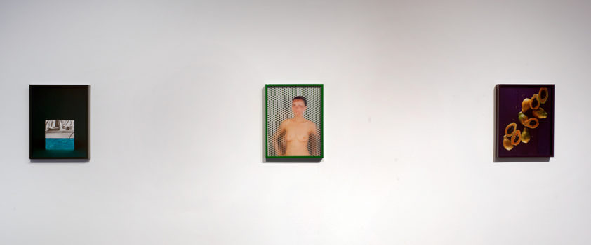 Elad Lassry, Guinevere (Green), 2009 Elad Lassry, Guinevere (Green), 2009