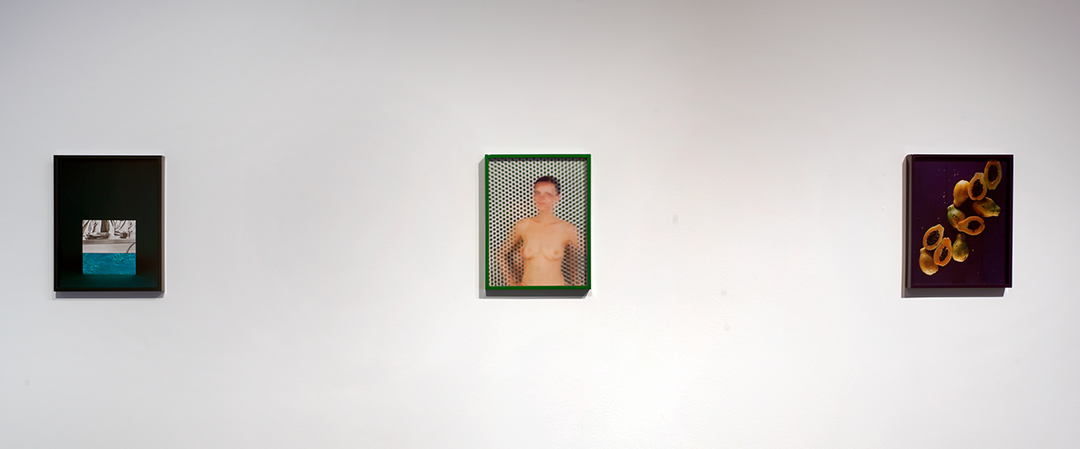 Elad Lassry, Guinevere (Green), 2009 Elad Lassry, Guinevere (Green), 2009