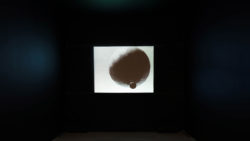 Terry Adkins, Flumen Orationis (from The Principalities), 2012. Single channel stereoscopic digital video with sound, 41:38 minutes. © 2020 The Estate of Terry Adkins / Artists Rights Society (ARS), New York.