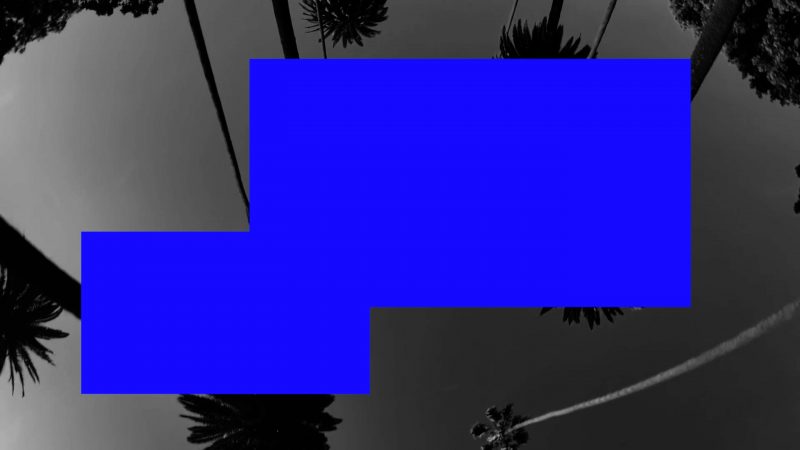 Screenshot from Sable Elyse Smith, xxxxx UNTITLED sketch no. 3000, 2021